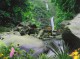 Jungle Waterfall [AD]